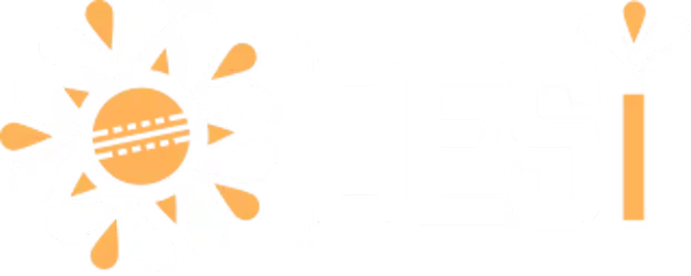 Desi casino